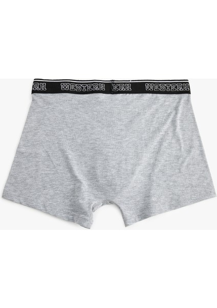 3'lü Boxer Seti Kovboy Baskılı Pamuklu indirimleri