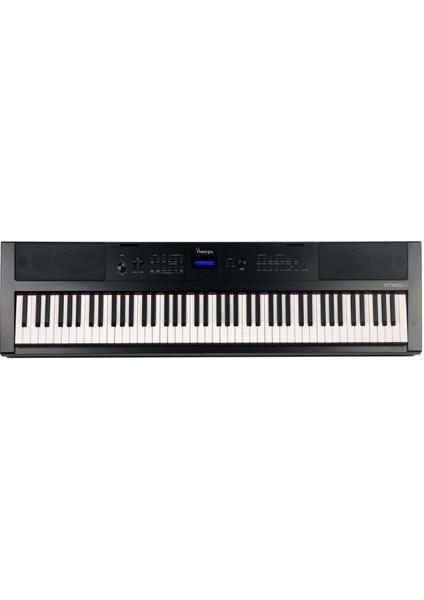 Vivace Pro Taşınabilir Dijital Piyano