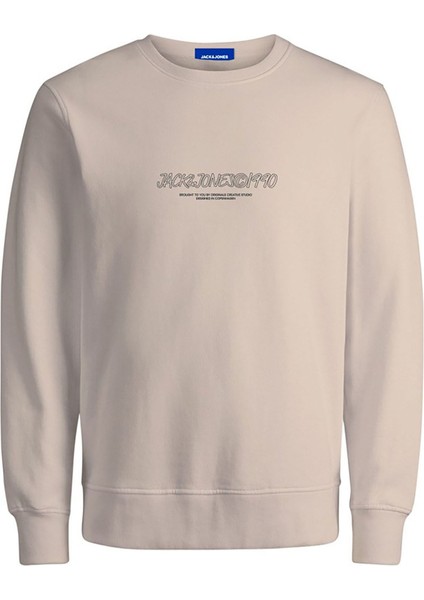 Jack & Jones Erkek Bisiklet Yaka Sweatshirt 12266942