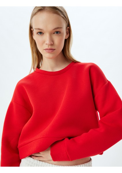 Crop Spor Oversize Sweatshirt Basic Bisiklet Yaka Şardonlu modelleri