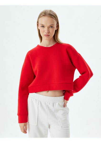 Crop Spor Oversize Sweatshirt Basic Bisiklet Yaka Şardonlu fırsatları