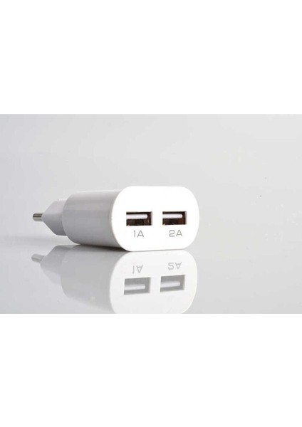 ZR-A2000 2 USB Li Lightning Ev Şarj Seti