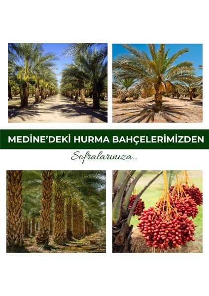 Hudri Medine Hurması 250 gr