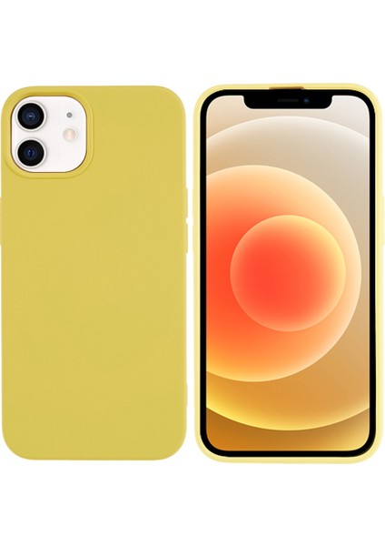 Apple iPhone 11 Telefon Kılıfı (Yurt Dışından)