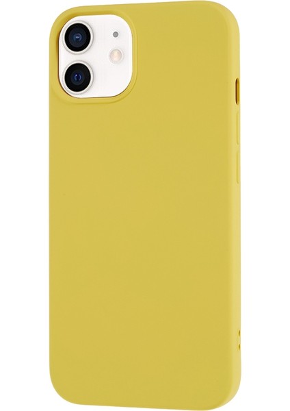 Apple iPhone 11 Telefon Kılıfı (Yurt Dışından)