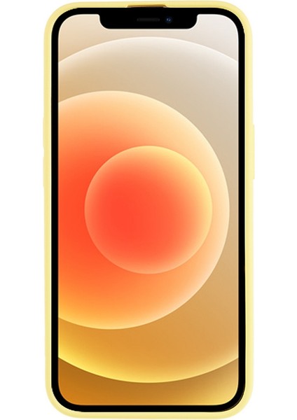Apple iPhone 11 Telefon Kılıfı (Yurt Dışından)
