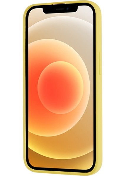 Apple iPhone 11 Telefon Kılıfı (Yurt Dışından)