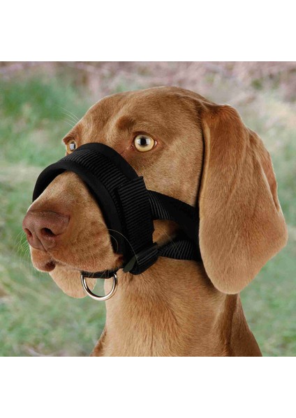 Köpek Ağızlığı Danua Xxl 13