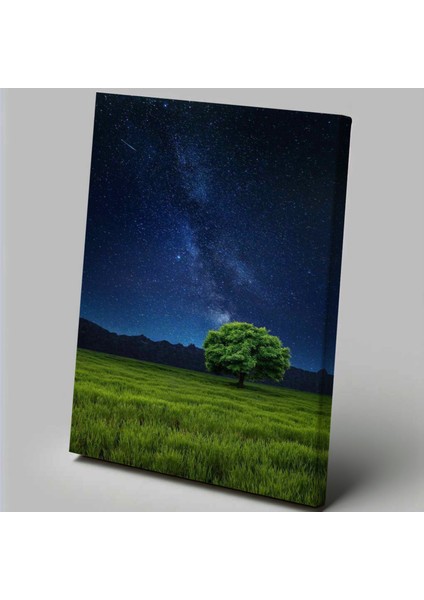 Manzara Temalı Yalnız Ağaç Tablo TBL27
