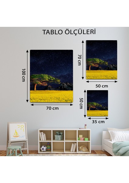 Manzara Temalı Gökyüzü Safarisi Tablo TBL24 modelleri