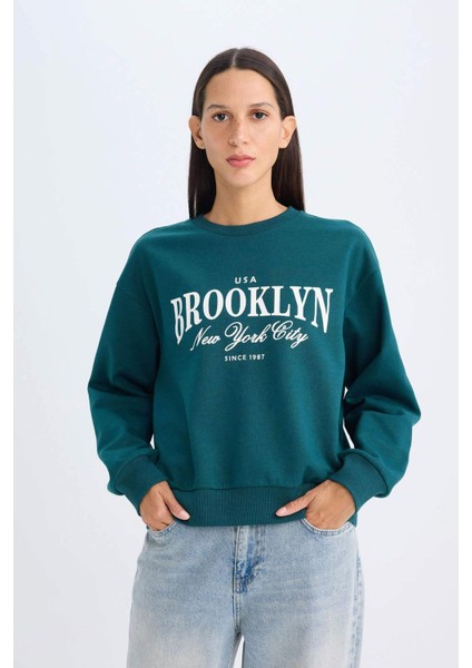 Regular Fit Bisiklet Yaka Baskılı İnce Sweatshirt D5928AX24AU