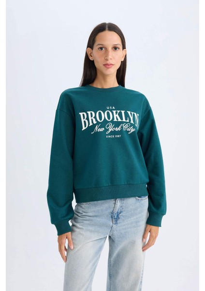 Regular Fit Bisiklet Yaka Baskılı İnce Sweatshirt D5928AX24AU