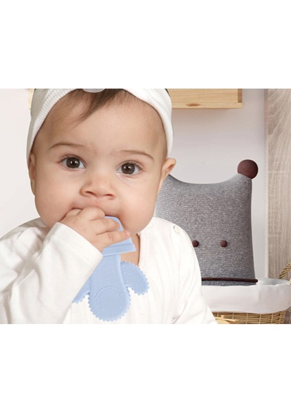 Diş Kaşıyıcı Kaktüs Mavi fiyatları