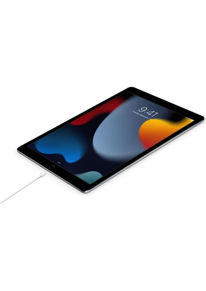 Usb-C To Lightning Kablo - 1m fiyatları