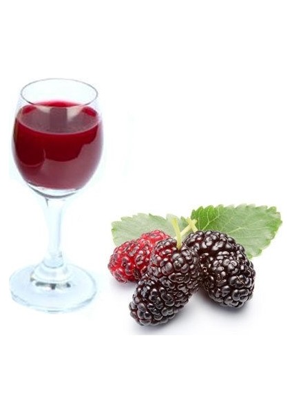 Karadut Emülsiyonu - 1 Kg fiyatları