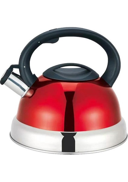 3l Paslanmaz Çelik Su Isıtıcısı Otomatik Düdük Gaz Indüksiyon Ocak Evrensel (Yurt Dışından)