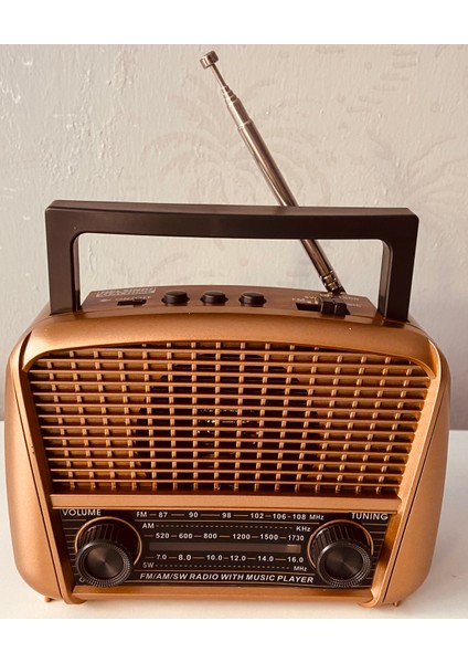HS-1500 Bt Nostaljik Fm Radyo