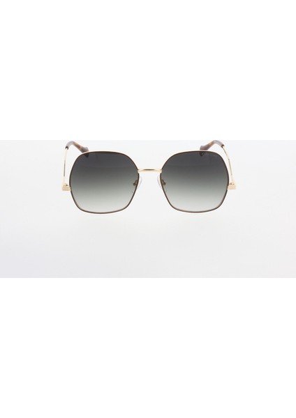 Güneş Gözlüğü (Kadın) 3599 02 fiyatları