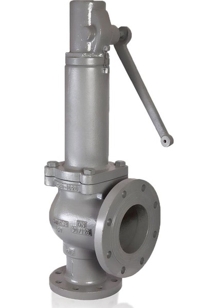 Dn 40/65 Tam Kalkışlı Emniyet Ventili