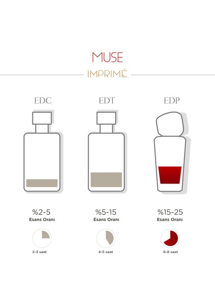 Muse EDP Kadın Parfüm 50ml | Çiçeksi ve Meyveli | Frenk Üzümü, Lavanta, Yasemin, Vanilya, Misk, Amber