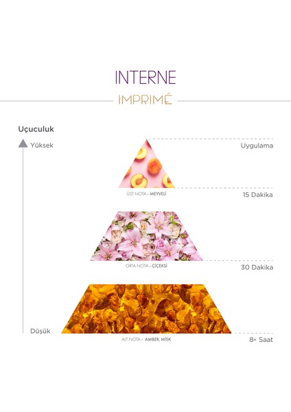 Interne EDP Kadın Parfüm 50ml | Meyveli ve Çiçeksi | Bergamot, Şeftali, Yasemin, Zambak, Misk, Amber