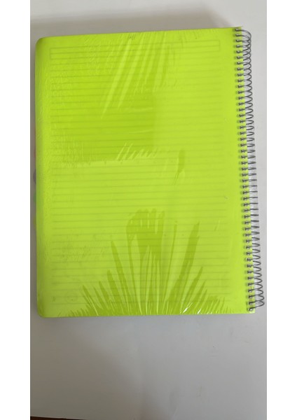 Umur Collection (6+1) Neon Konulu Defter