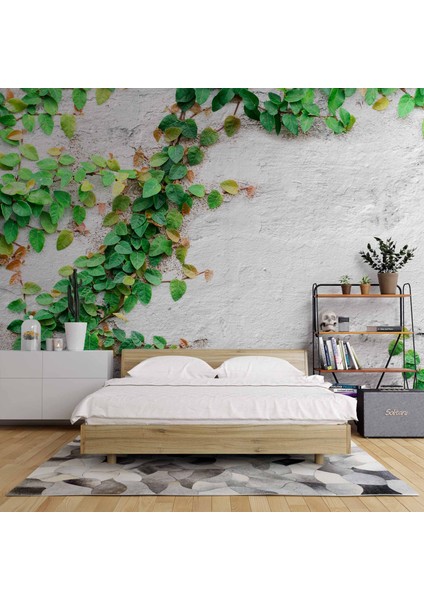 Duvar Sarmaşık Temalı Baskı fiyatları