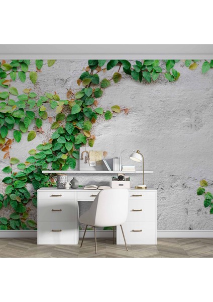 Duvar Sarmaşık Temalı Baskı fırsatları