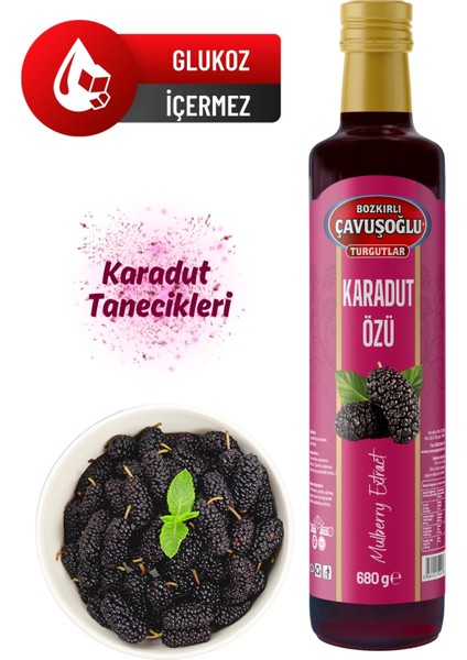 Bozkırlı Çavuşoğlu Doğal Katkısız Karadut Özü 680G