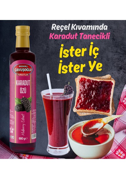 Bozkırlı Çavuşoğlu Doğal Katkısız Karadut Özü 680G