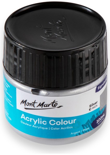 Renkli Boya Signature 100 ml Silver modelleri