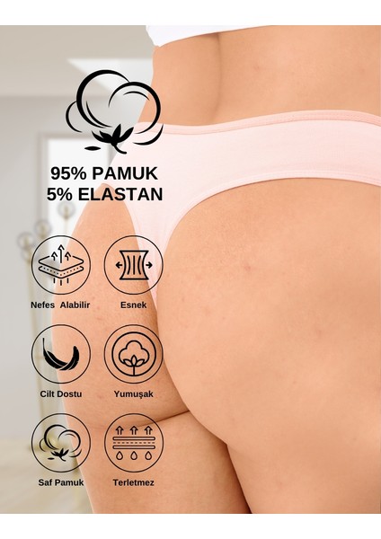 Kadın Bato Tanga Pamuklu Külot, Büyük Beden, 5' Li Paket -Sarı, Mor Mint, Somon Mavi modelleri