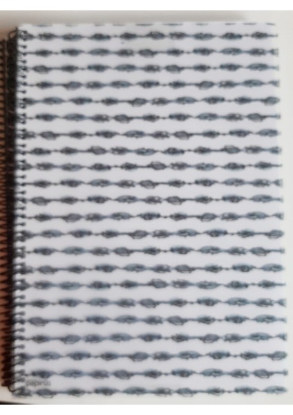 Colornote Papirus Candy Spiralli Pp Kapak 100 Yaprak Çizgili A4 Defter