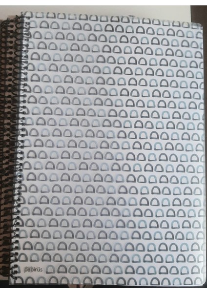 Colornote Papirus Candy Spiralli Pp Kapak 100 Yaprak Çizgili A4 Defter