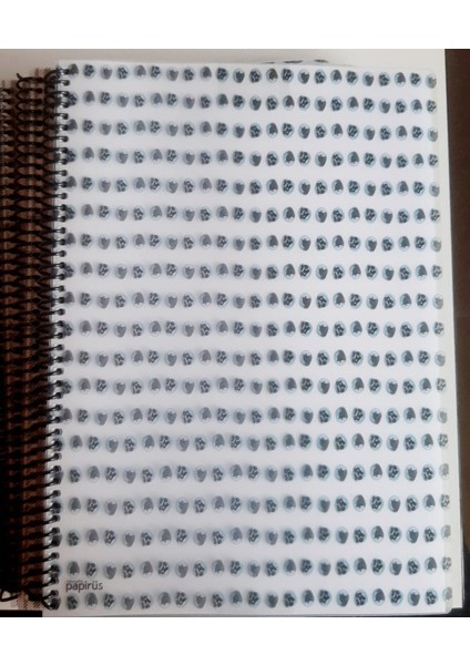 Colornote Papirus Candy Spiralli Pp Kapak 100 Yaprak Çizgili A4 Defter