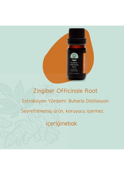 Saf Doğal Zencefil Yağı, (Seyreltilmemiş) 10 ml