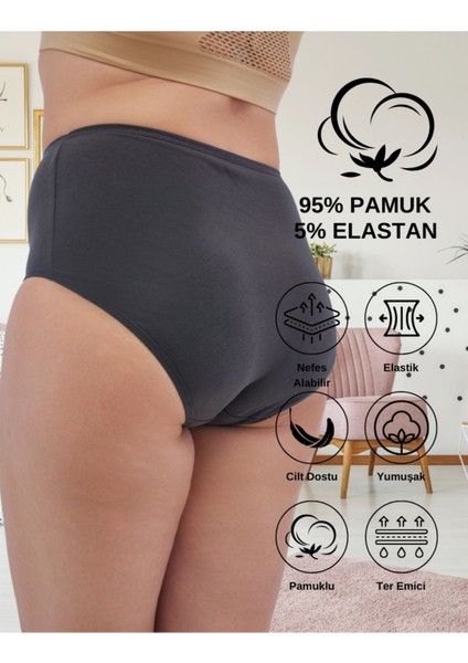 Kadın Büyük Beden Yüksek Bel Külot Full Brief, 5'li Paket 5 Farklı Renk 1 Pakette modelleri