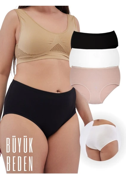 Alya Underwear Kadın Büyük Beden Yüksek Bel Külot Full Brief, 3'lü Paket Siyah Beyaz Ten