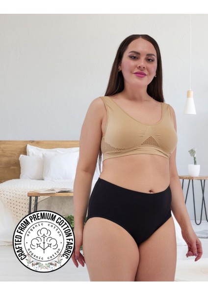 Kadın Büyük Beden Yüksek Bel Külot Full Brief, 5'li Paket 5 Farklı Renk 1 Pakette fiyatları