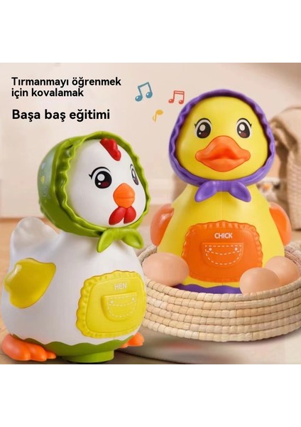 Yeni Işık, Müzik, Elektrik Evrensel Yumurta Yatması, Tavuk ve Ördek, Engel Yürümesi, Çocukların Karton Oyuncağı (Yurt Dışından) modelleri