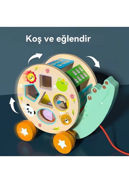 Rocket Diski Balıkçılık Sıçraması Tepeden Oyun Masaüstü Oyunu Kültütleştirmek Için Ana Çocuk Etkileşimi ve Çocuk Koncentrasyonu (Yurt Dışından) modelleri