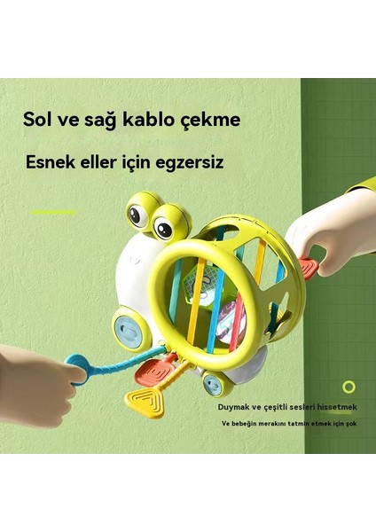Snail, Saile, Lala, Bebek Erken Eğitimi, Finger Finger Form Iyi Oyunlar, Yeni Yaşam Çocukların Puzzle Oyunları (Yurt Dışından) fiyatları