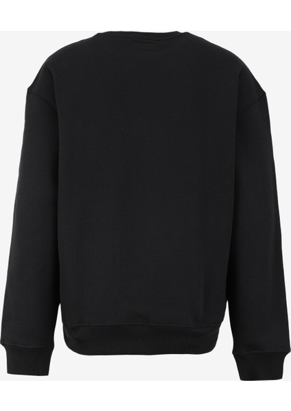 Siyah Erkek Sweatshırt M4YQ17K9V31JBLK fiyatları