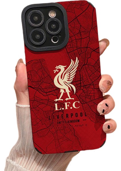 Taş Badanalı Liverpool Armalı Futbol Takımı Telefon Kılıfı (Yurt Dışından)