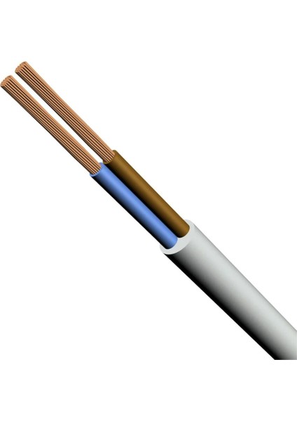 H05VV-F (Ttr) 5x2,5 Mm2 Uyumlu Kablo Beyaz 10 Metre
