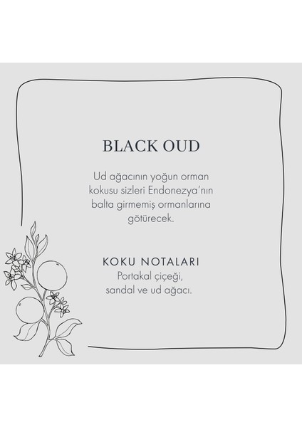 Bella Maison Black Oud Oda Kokusu (250 ml)