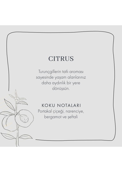 Bella Maison Citrus Oda Kokusu (250 ml)