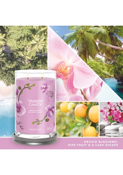 Yankee Candle Wild Orchid Tumbler Büyük Mum