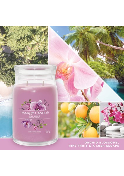 Wild Orchid Signature Büyük Mum fiyatları