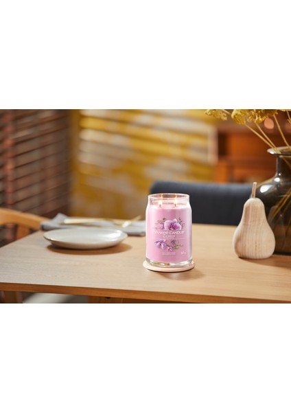 Wild Orchid Signature Büyük Mum modelleri